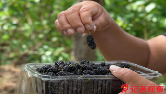 最高分辨率！我國(guó)成功發(fā)射高分多模衛(wèi)星