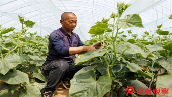 國(guó)科大：初步查明系2019級(jí)碩士生季某某發(fā)表不當(dāng)言論