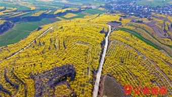 301醫(yī)院現(xiàn)疫情 海淀增百余封閉小區(qū)?假的!