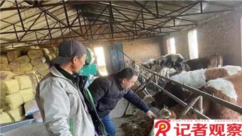 機(jī)動(dòng)車(chē)排污違法信息擬納入征信
