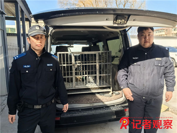 圖片9