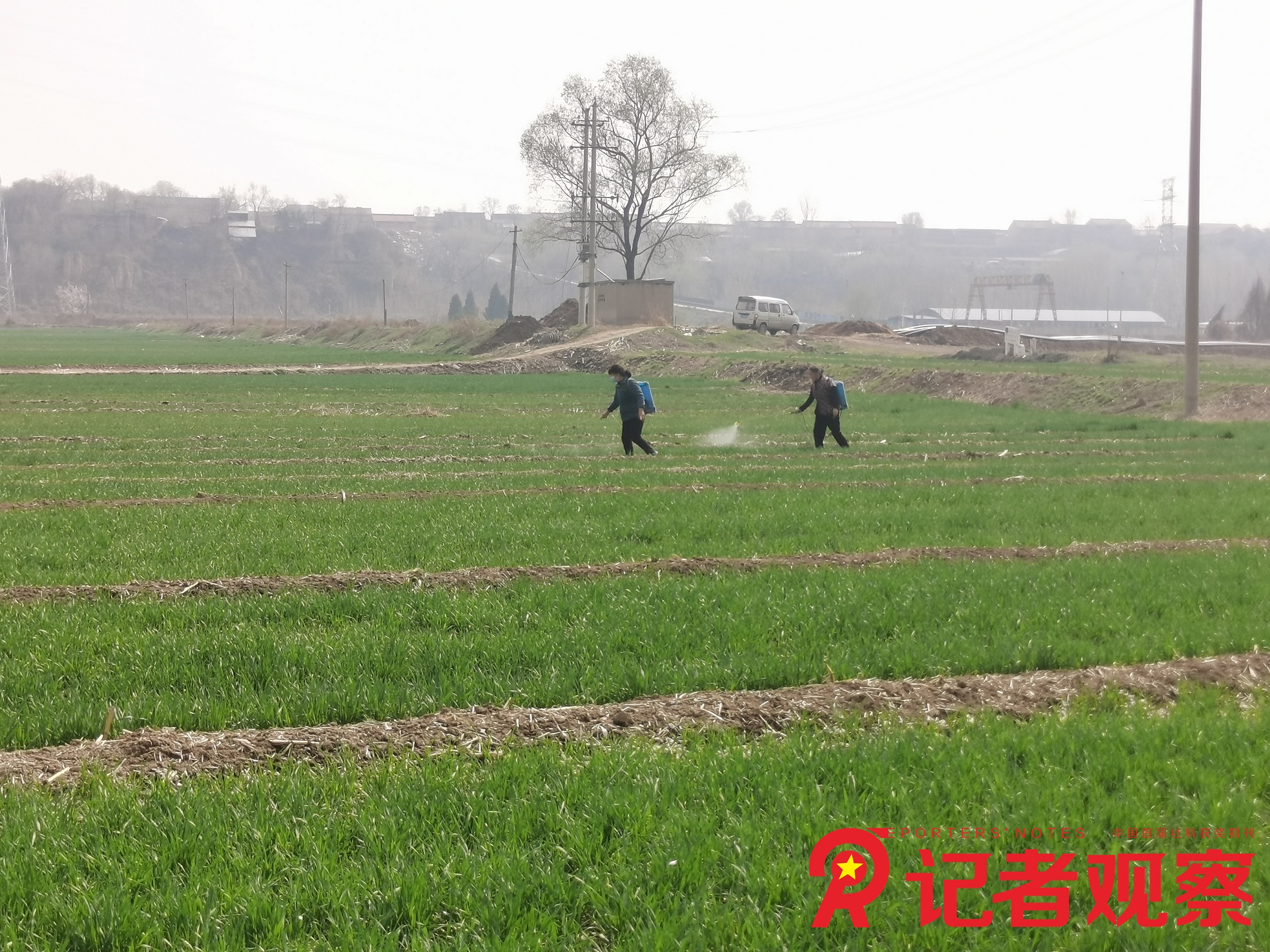 2024年3月26日侯馬市張村鄉(xiāng)小里村 杭濤