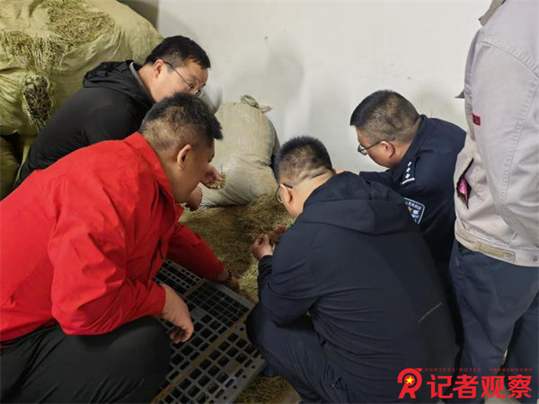 圖片5