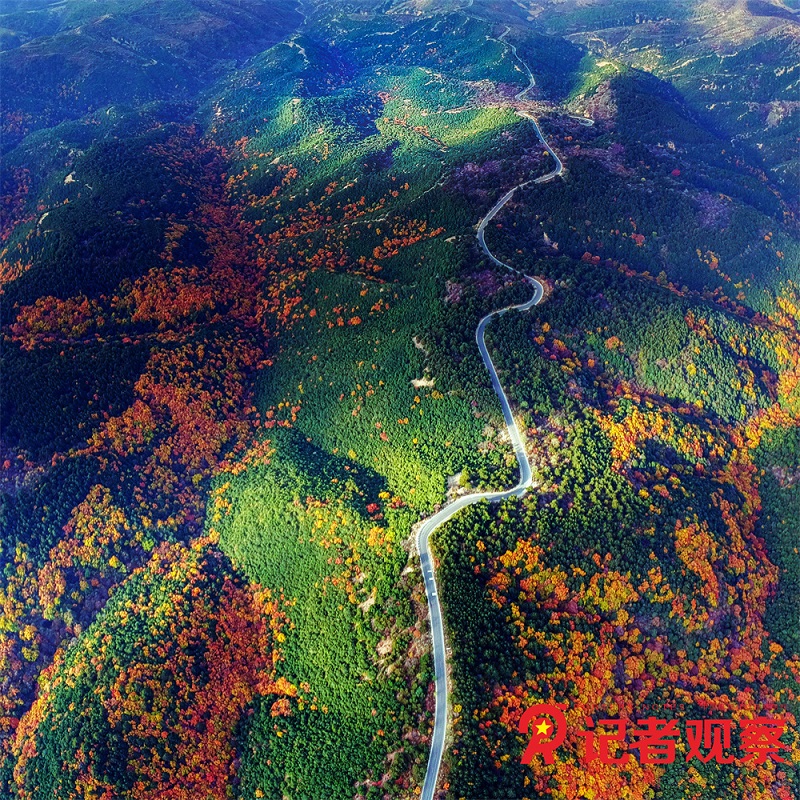 蒲縣五鹿山秋景