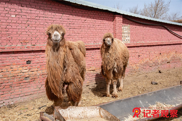 圖片29